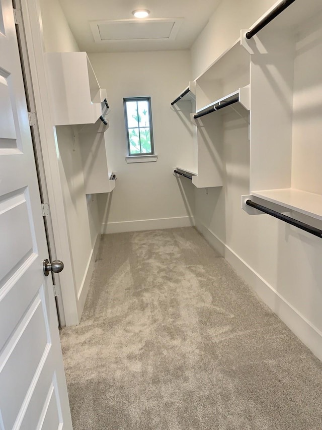 12515 Tullich Run Dr, Humble, TX 77346 - spacious closet with light carpet and attic access