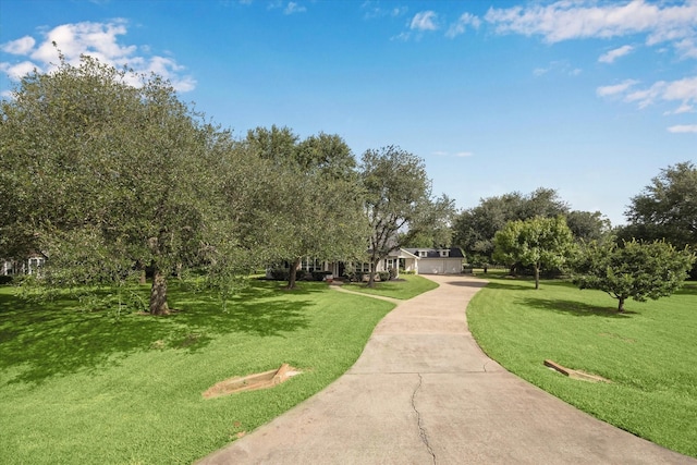 31702 Tall Grass Ln, Fulshear, TX 77441 - photo 3