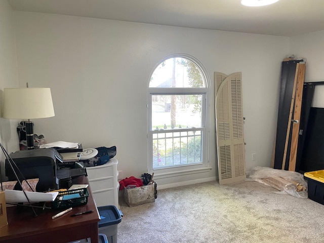 2310 Brooktree Dr, Houston, TX 77008 - photo 24