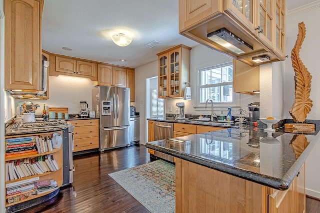 520 W 30th St, Houston, TX 77018 - kitchen with appliances with stainless steel finishes, a peninsula, dark wood finished floors, and glass insert cabinets