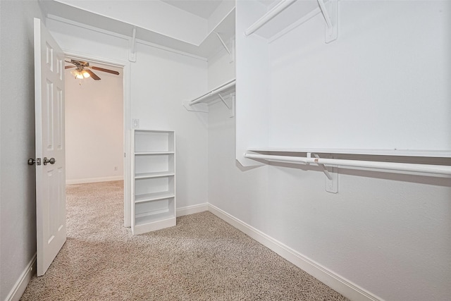 2403 Ranna Ct, Sugar Land, TX 77498 - walk in closet featuring carpet flooring and ceiling fan