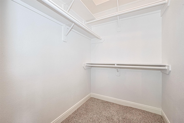 2403 Ranna Ct, Sugar Land, TX 77498 - walk in closet featuring light carpet
