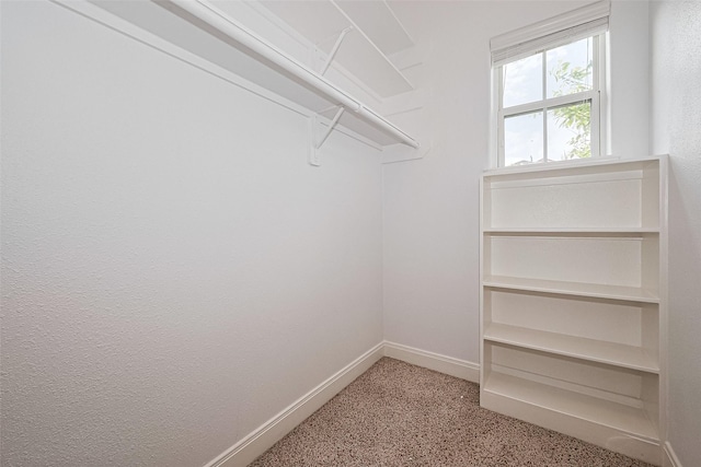 2403 Ranna Ct, Sugar Land, TX 77498 - spacious closet with carpet floors