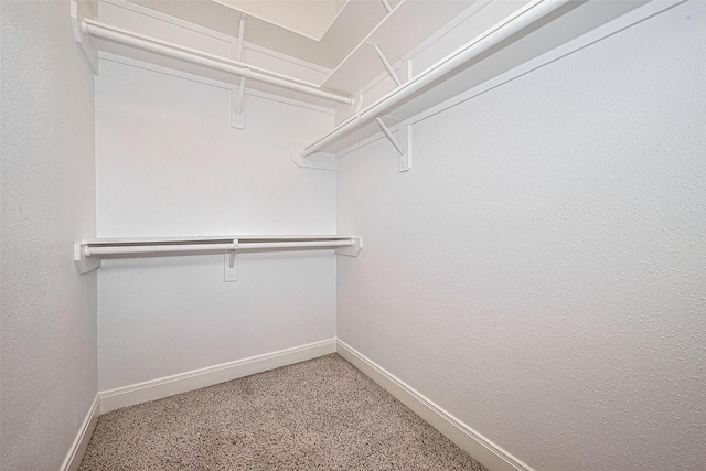 2403 Ranna Ct, Sugar Land, TX 77498 - spacious closet with carpet