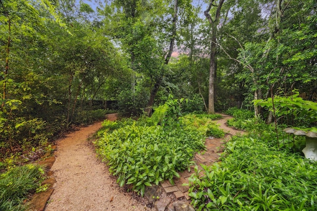 11 Leaf Trace Ct, Spring, TX 77381 - view of yard