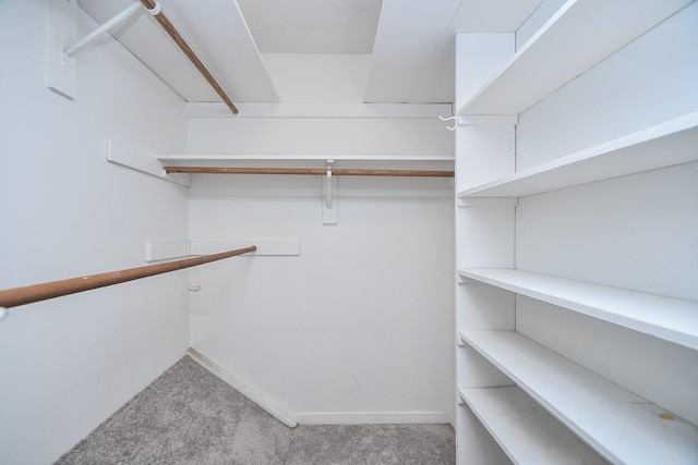 2635 Marilee Ln Unit 2635, Houston, TX 77057 - walk in closet with light carpet