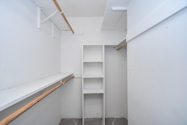 2635 Marilee Ln Unit 2635, Houston, TX 77057 - view of spacious closet