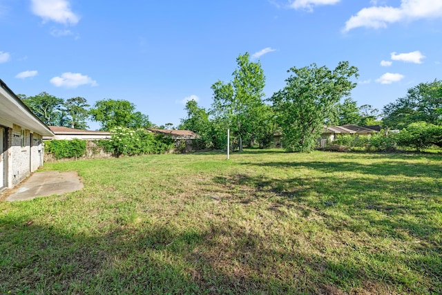6611 Mohawk St, Houston, TX 77016 - view of yard