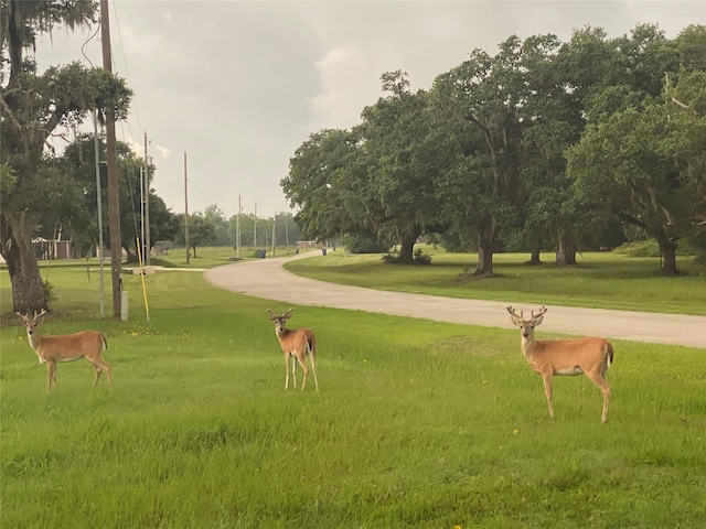 920 Mill Rd, Angleton, TX 77515