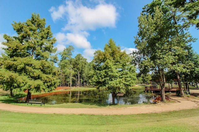 22811 Northampton Pines Dr, Spring, TX 77389 - view of property's community featuring a water view