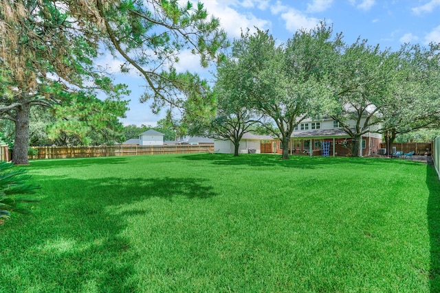 22811 Northampton Pines Dr, Spring, TX 77389 - view of fenced backyard