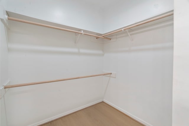 8215 Twining Oaks Ln, Spring, TX 77379 - spacious closet featuring light wood-style flooring