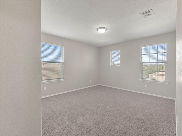 419 Eastern Phoebe, San Antonio, TX 78253 - spare room featuring carpet floors and a textured ceiling