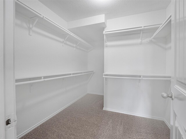 419 Eastern Phoebe, San Antonio, TX 78253 - spacious closet with carpet floors