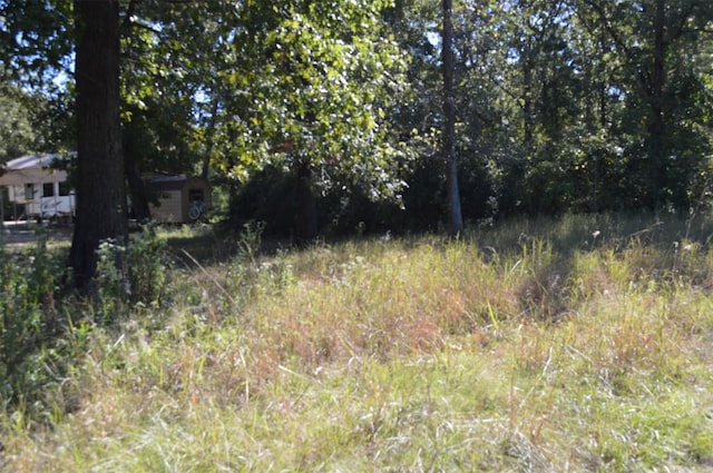 00 Willow Oak Ln, Point Blank, TX 77364