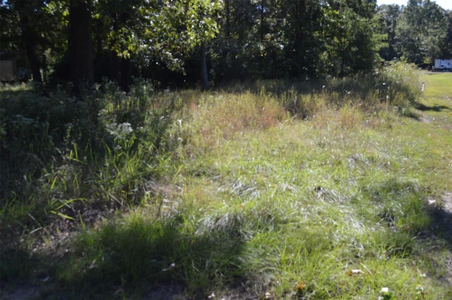 00 Willow Oak Ln, Point Blank, TX 77364