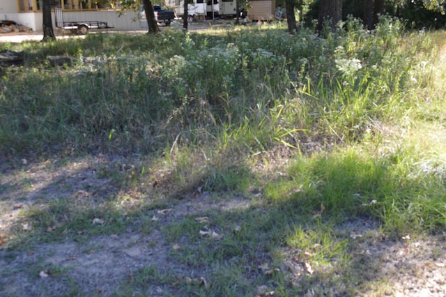 00 Willow Oak Ln, Point Blank, TX 77364