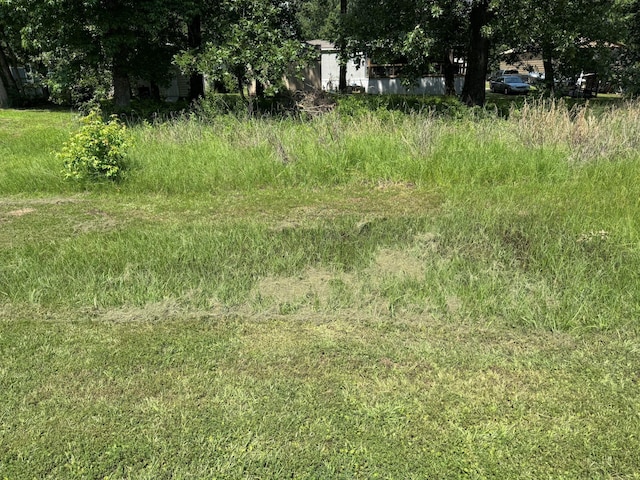 00 Willow Oak Ln, Point Blank, TX 77364