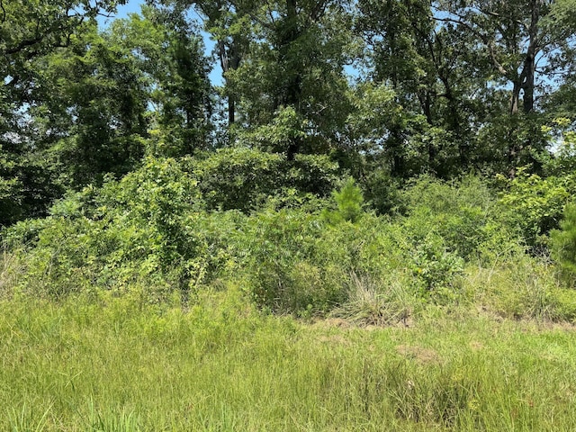 00 Willow Oak Ln, Point Blank, TX 77364