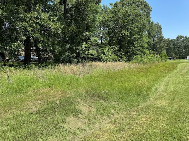 00 Willow Oak Ln, Point Blank, TX 77364