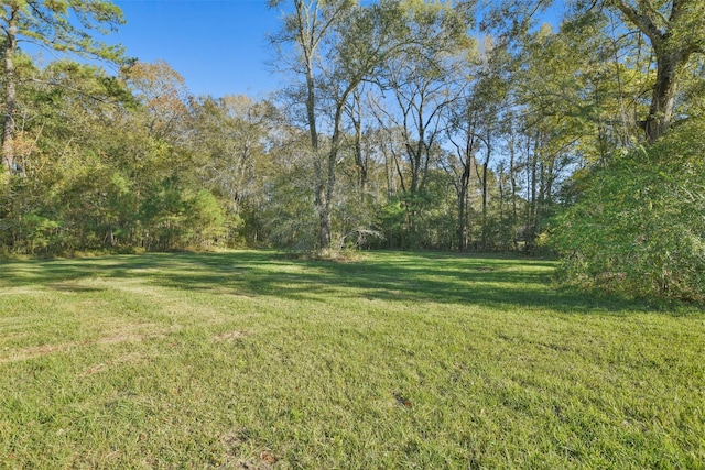 0 Austin St, Dayton, TX 77327 - photo 9