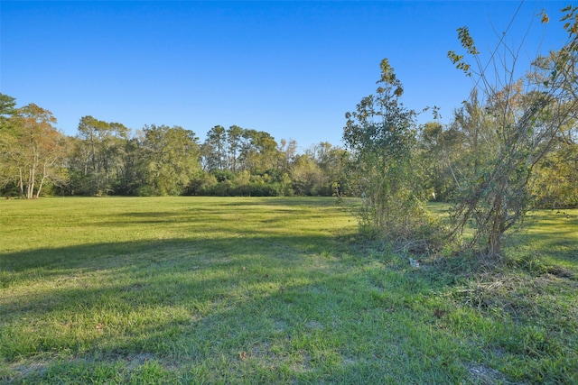 0 Austin St, Dayton, TX 77327 - photo 10