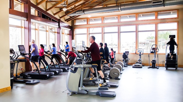 5603 Logan Ridge Ln, Fulshear, TX 77441 - exercise room with a high ceiling