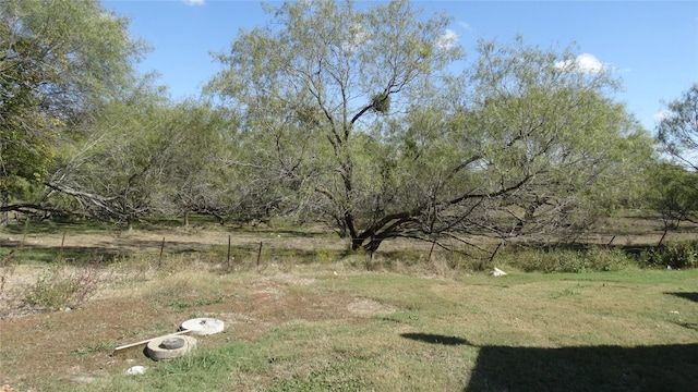 17930 N Interstate 35, West, TX 76691 - view of yard