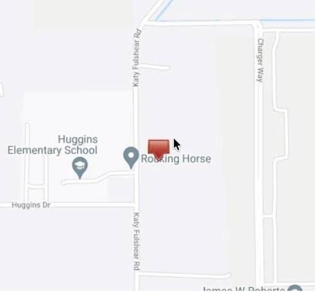0 Fulshear Katy Rd, Fulshear, TX 77441 - photo 2