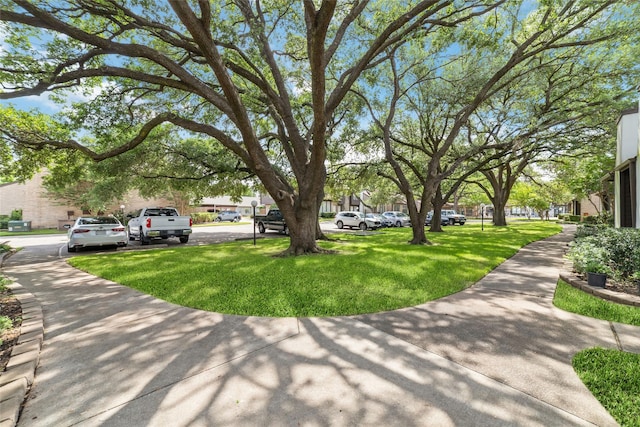 2601 S Braeswood Blvd Unit 302, Houston, TX 77025 - view of green lawn