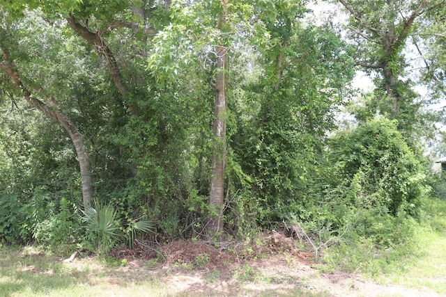 17138 H L Patton Blvd, Patton Village, TX 77372