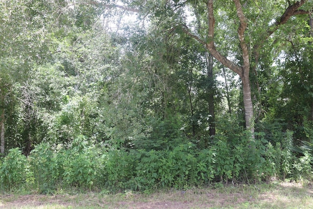17138 H L Patton Blvd, Patton Village, TX 77372