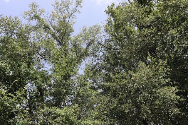 17138 H L Patton Blvd, Patton Village, TX 77372