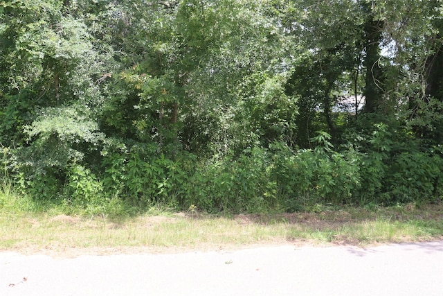 17138 H L Patton Blvd, Patton Village, TX 77372