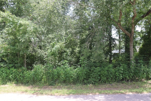 17138 H L Patton Blvd, Patton Village, TX 77372