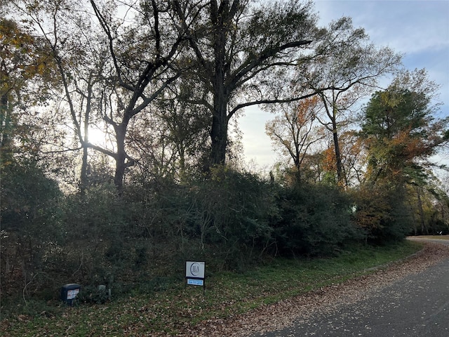 TBD Bay Hill Rd, Huntsville, TX 77320 - photo 2