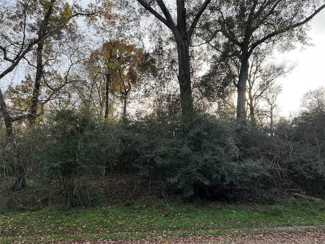 TBD Bay Hill Rd, Huntsville, TX 77320 - photo 7