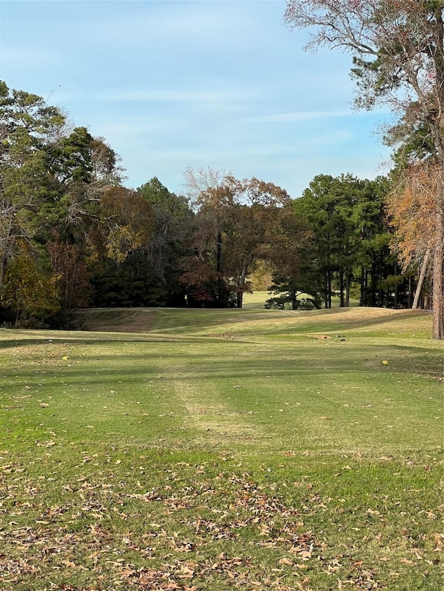 TBD Bay Hill Rd, Huntsville, TX 77320 - photo 12