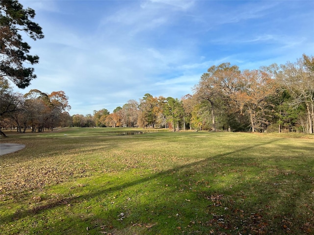 TBD Bay Hill Rd, Huntsville, TX 77320 - photo 13