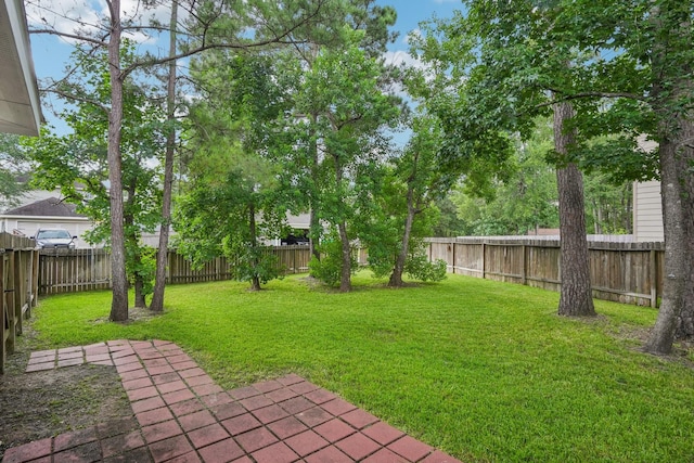90 Panterra Way, The Woodlands, TX 77382 - photo 44