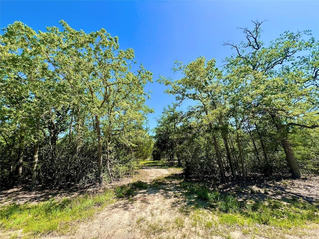 357 Oak Holw, Caldwell, TX 77836 - photo 10