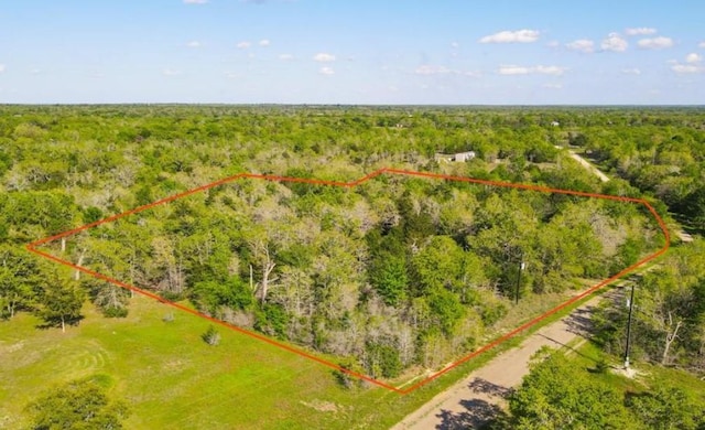 357 Oak Holw, Caldwell, TX 77836 - photo 1