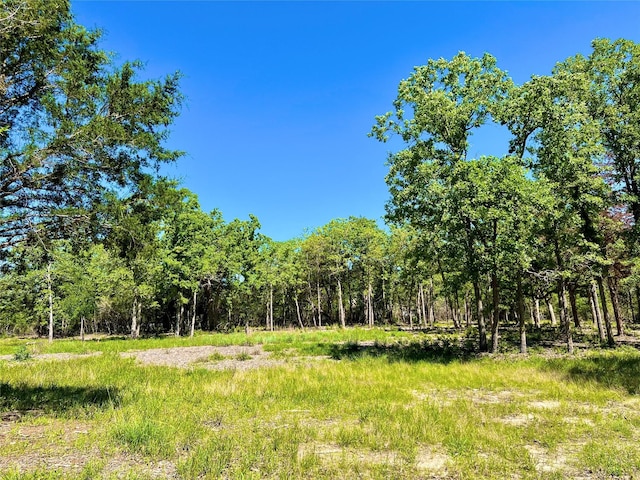 357 Oak Holw, Caldwell, TX 77836 - photo 3