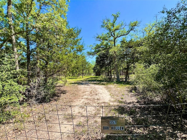 357 Oak Holw, Caldwell, TX 77836 - photo 4