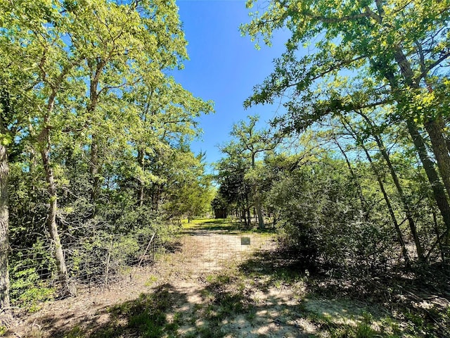 357 Oak Holw, Caldwell, TX 77836 - photo 5
