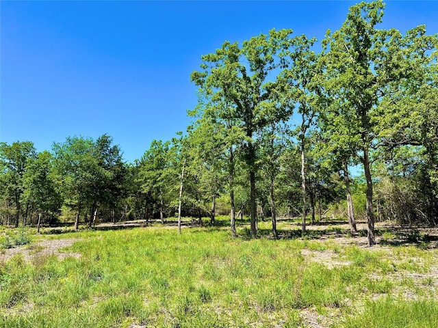 357 Oak Holw, Caldwell, TX 77836 - photo 6