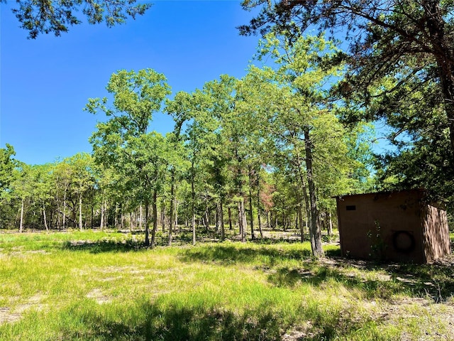357 Oak Holw, Caldwell, TX 77836 - photo 7