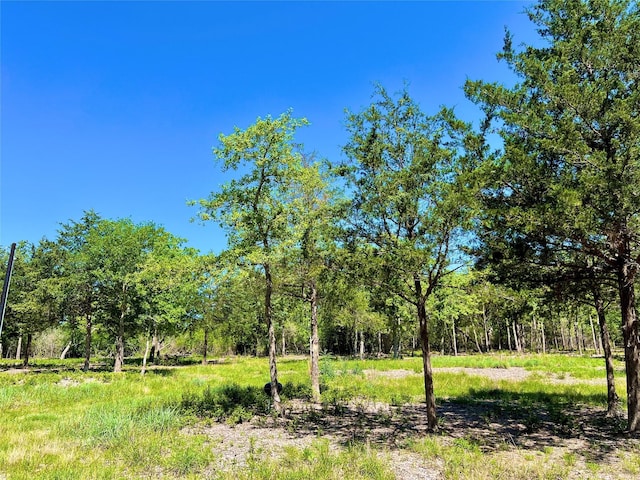 357 Oak Holw, Caldwell, TX 77836 - photo 8
