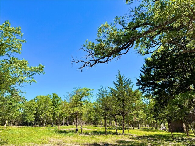 357 Oak Holw, Caldwell, TX 77836 - photo 9
