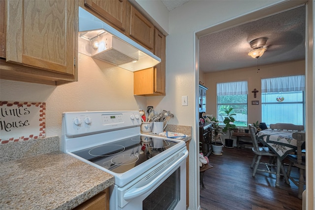 2017 Willow Bend Rd, Wharton, TX 77488 - kitchen featuring electric stove, under cabinet range hood, a textured ceiling, dark wood-type flooring, and light countertops
